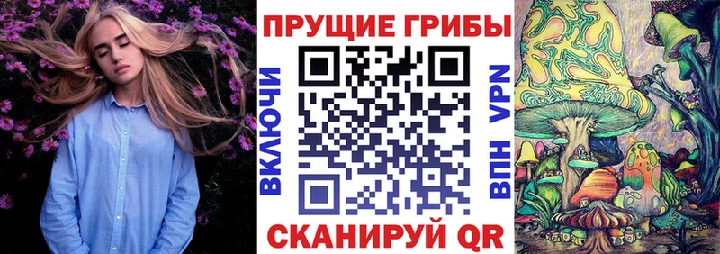 даркнет сайт  Кедровый  Псилоцибиновые грибы мухоморы 